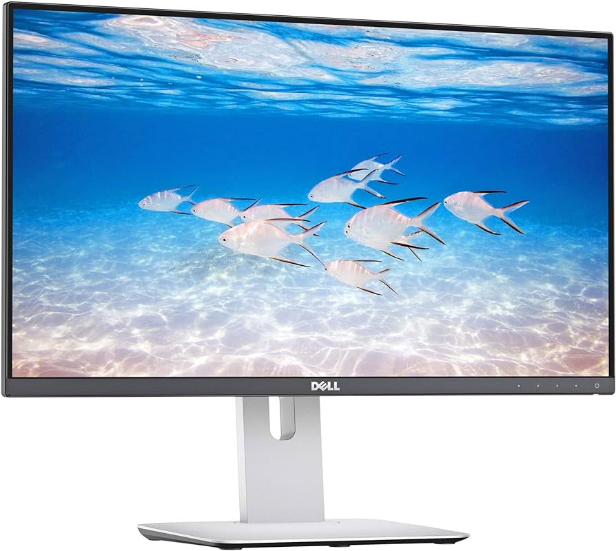 Dell U2414H | computer screen, 24"