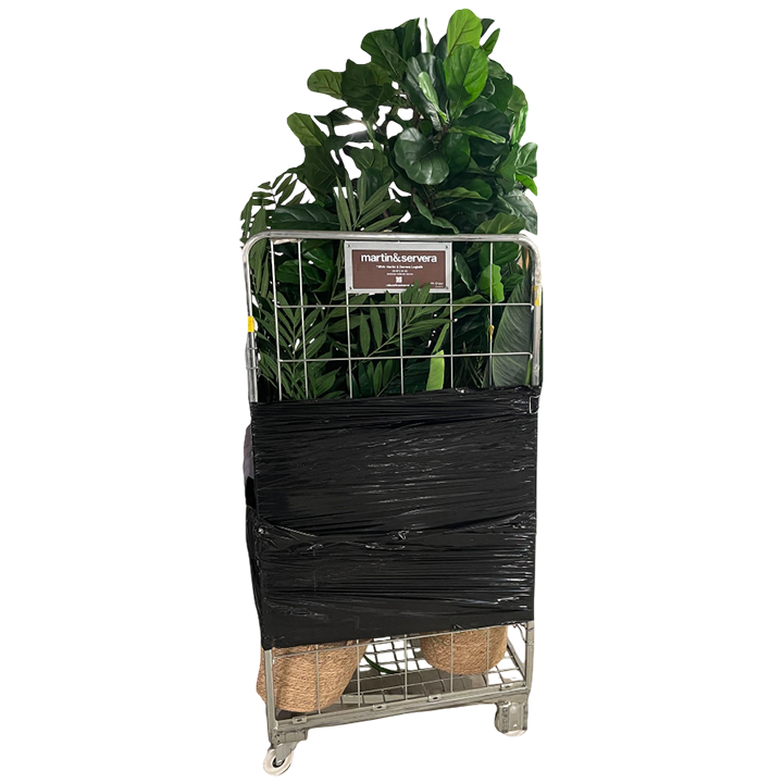 Plastic Plants | Assorted Cage