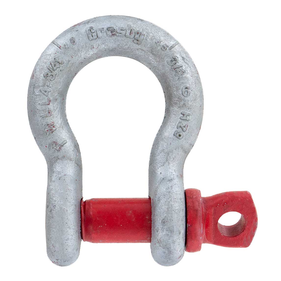 Shackle | 2 ton